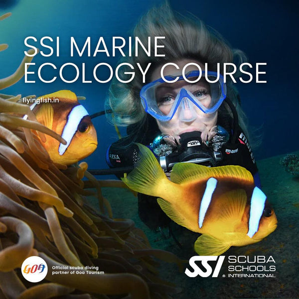 SSI Marine Ecology Course - FLYING FISH DIVING INDIA PRIVATE LIMITED
