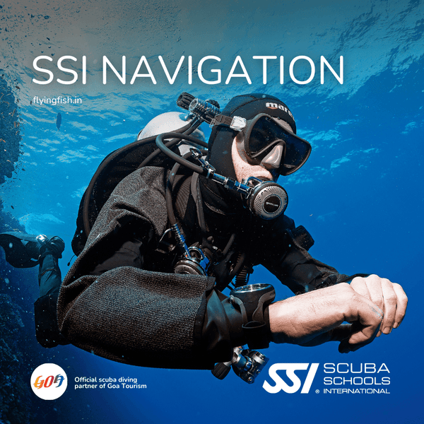SSI Navigation - FLYING FISH DIVING INDIA PRIVATE LIMITED