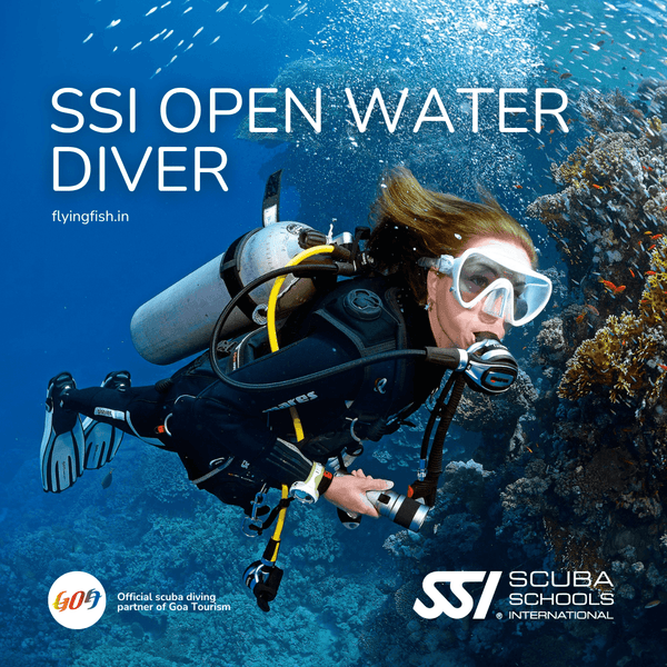SSI Open Water Diver - FLYING FISH DIVING INDIA PRIVATE LIMITED