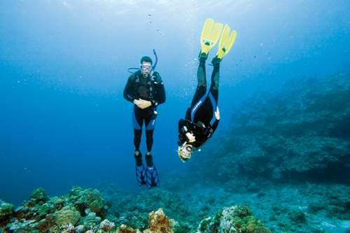 SSI Open Water & SSI Advanced Adventurer - FLYING FISH DIVING INDIA PRIVATE LIMITED