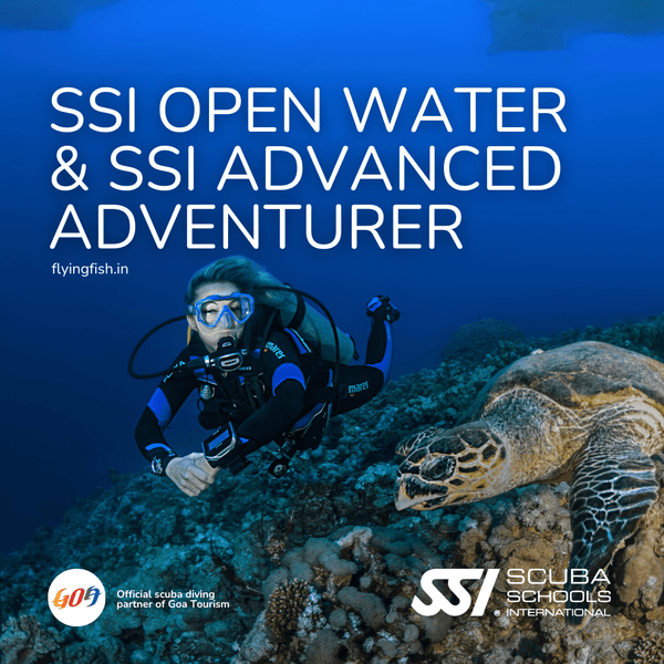 SSI Open Water & SSI Advanced Adventurer - FLYING FISH DIVING INDIA PRIVATE LIMITED