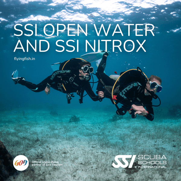 SSI Open Water and SSI Nitrox Combo - FLYING FISH DIVING INDIA PRIVATE LIMITED
