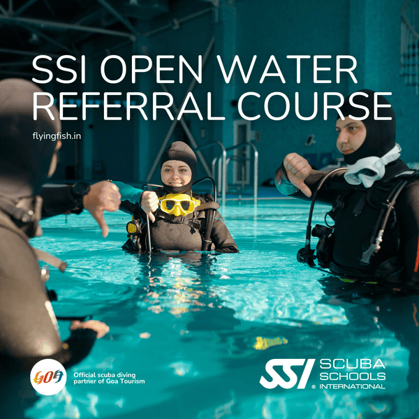SSI Open Water referral course - FLYING FISH DIVING INDIA PRIVATE LIMITED