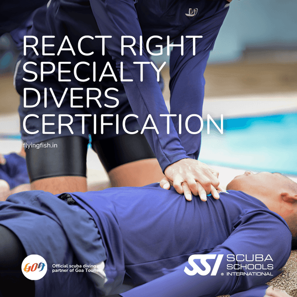 React Right Specialty divers certification - FLYING FISH DIVING INDIA PRIVATE LIMITED