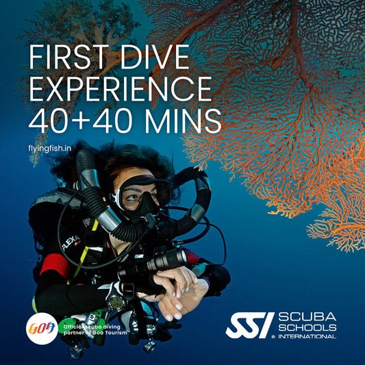 First dive experience (40+40 minutes) | Scuba Diving in Goa