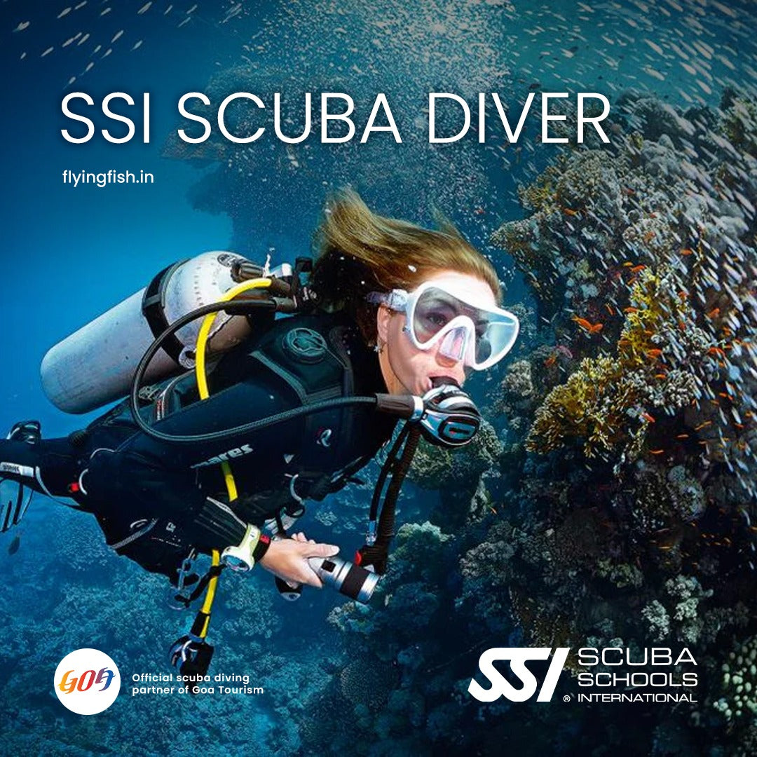 SSI Scuba Diver