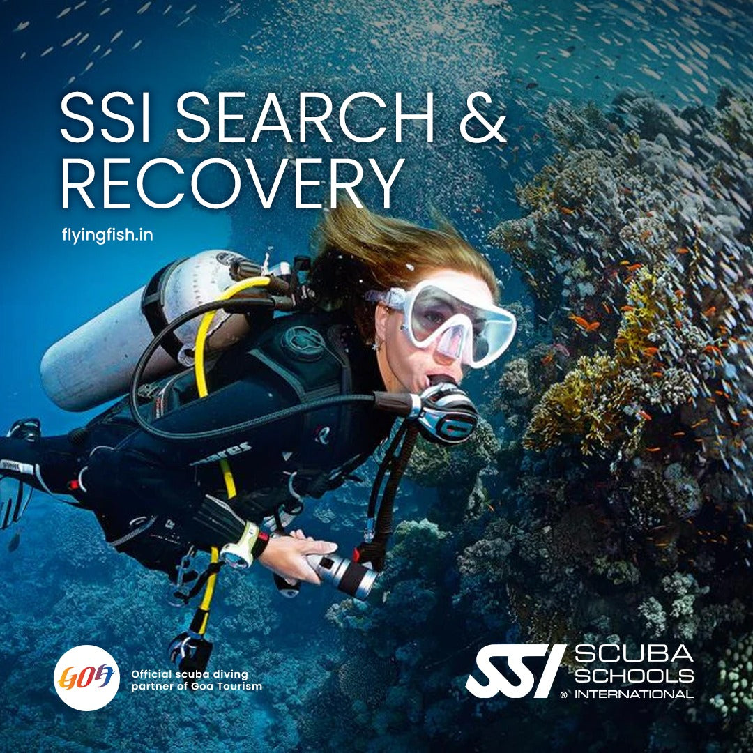 SSI Search & Recovery