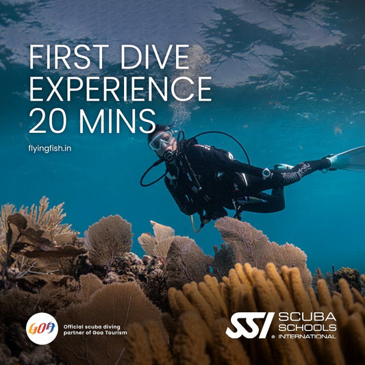 SSI First dive experience (20 minutes) | Scuba diving in Goa