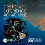 Fun Dive 3 Days | 6 Dives at Grand Island Goa