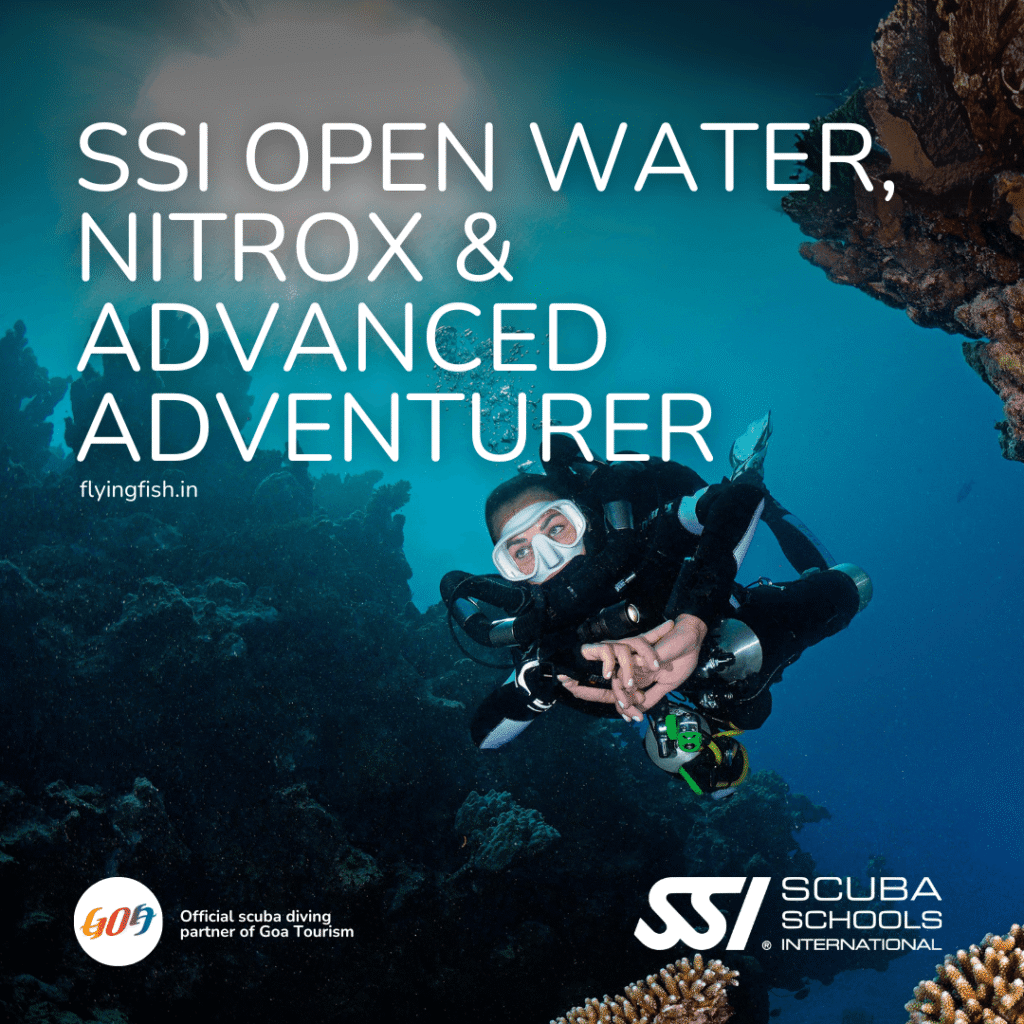 Open Water + Nitrox + Advanced Triple Dive Course Bundle Goa