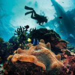 Fun Dive 3 Days | 6 Dives at Grand Island Goa