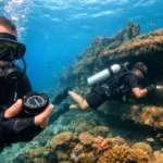Scuba Speciality Course Bundle Goa — Choose Any 2 SSI Kits