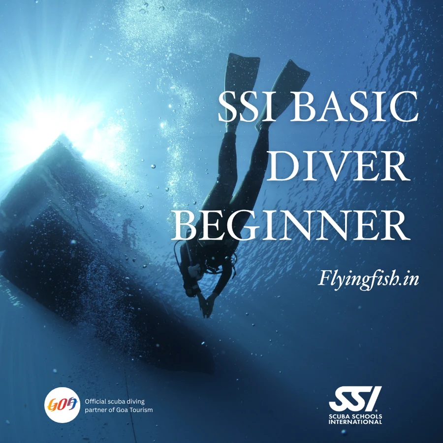 Basic Diver — Build Your Own Dive