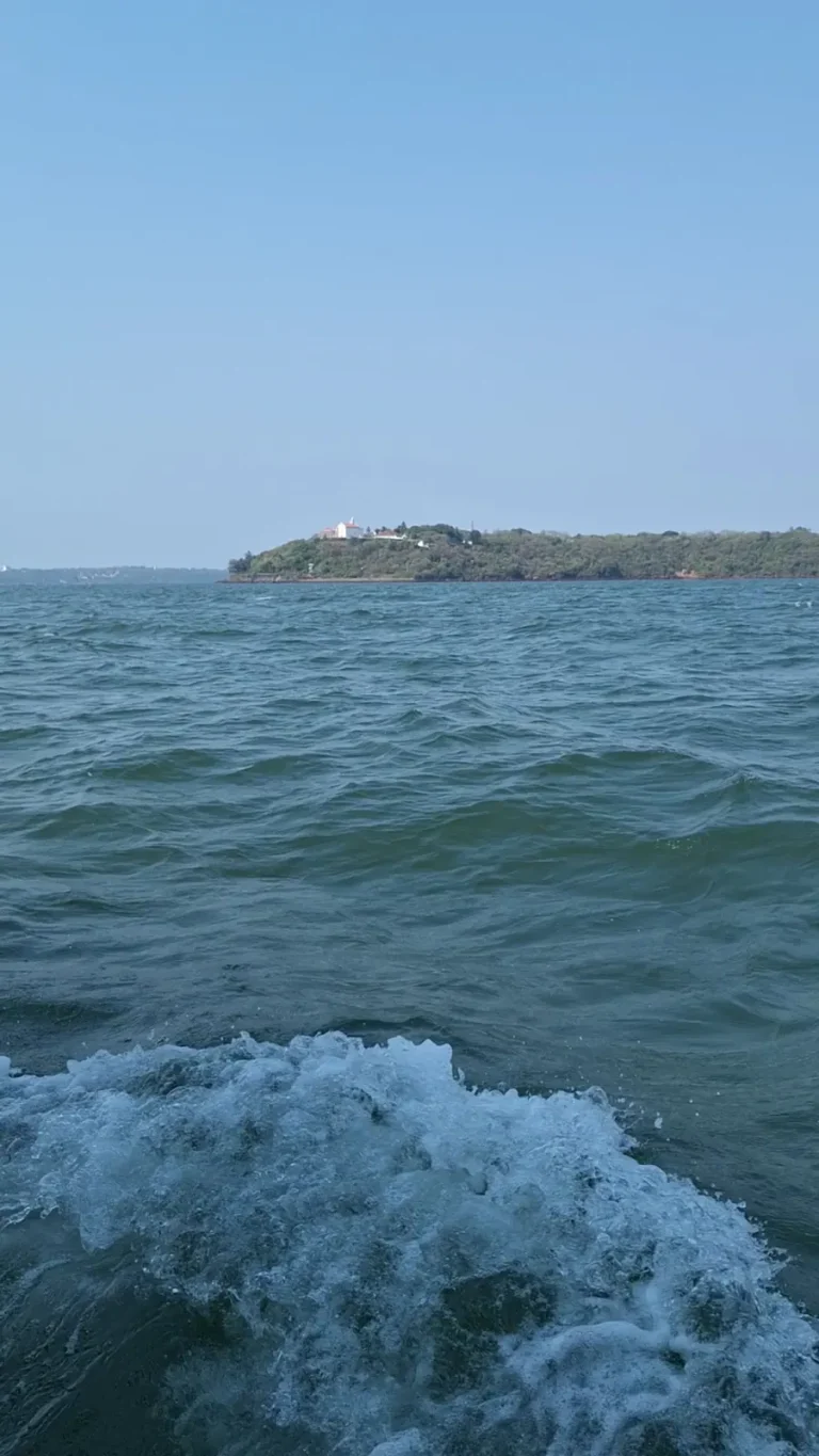 White wake churning behind a boat, with a low island on the horizon under a pale blue sky