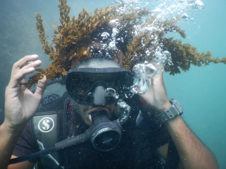 Playful diver holds a clump of brown seaweed on his head as bubbles rise from his regulator