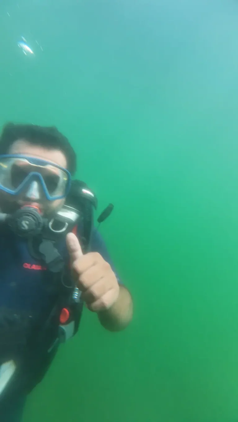 Diver in a clear mask gives a thumbs up while hovering in bright green water