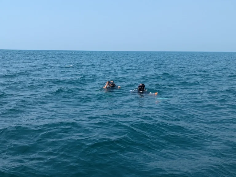 Two divers at the surface far out in open blue sea