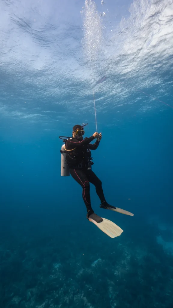 Diver in a black wetsuit ascending a line in clear blue water with bubbles rising to the surface