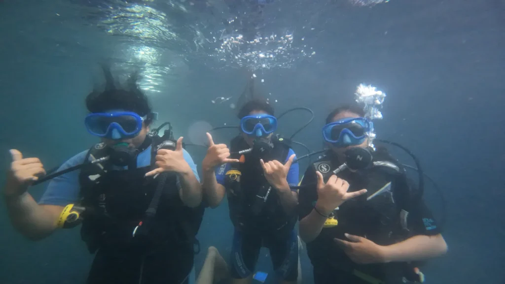 Three divers in blue masks giving shaka signs just below the surface