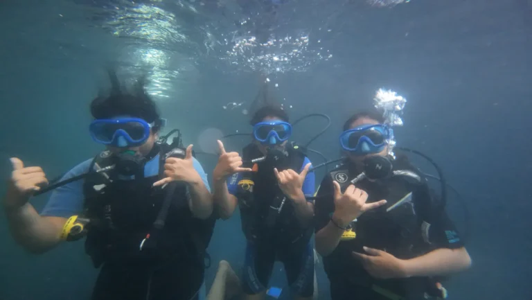 Three divers in blue masks giving shaka signs just below the surface