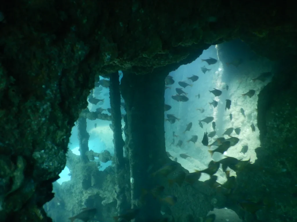 View through a wreck opening to pillars and schools of fish in shafts of light