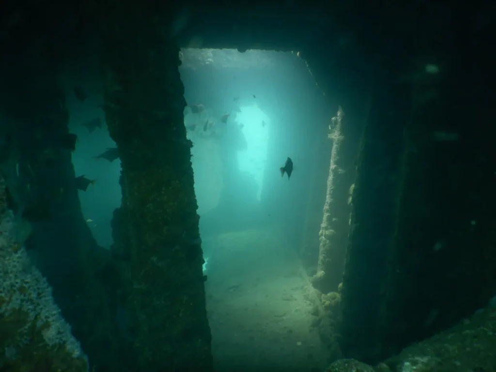 Corridor inside a wreck with light at the far end and a few fish