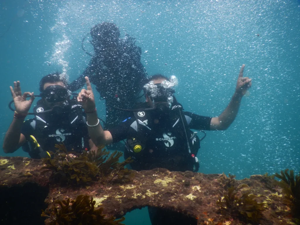Two divers giving OK and pointing signs behind shipwreck structure, a third diver behind