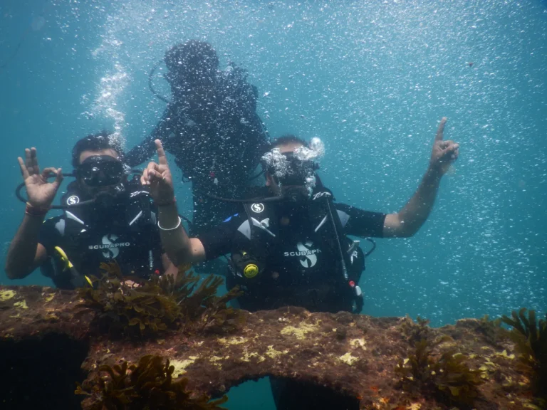 Two divers giving OK and pointing signs behind shipwreck structure, a third diver behind