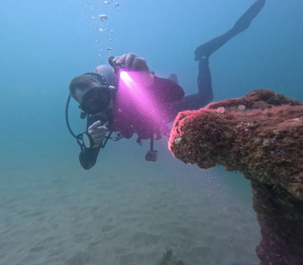 Diver shining a torch toward an encrusted wreck post over sand