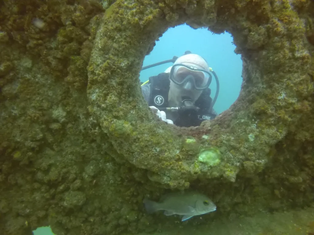 Diver peering through an encrusted wreck porthole with a fish below