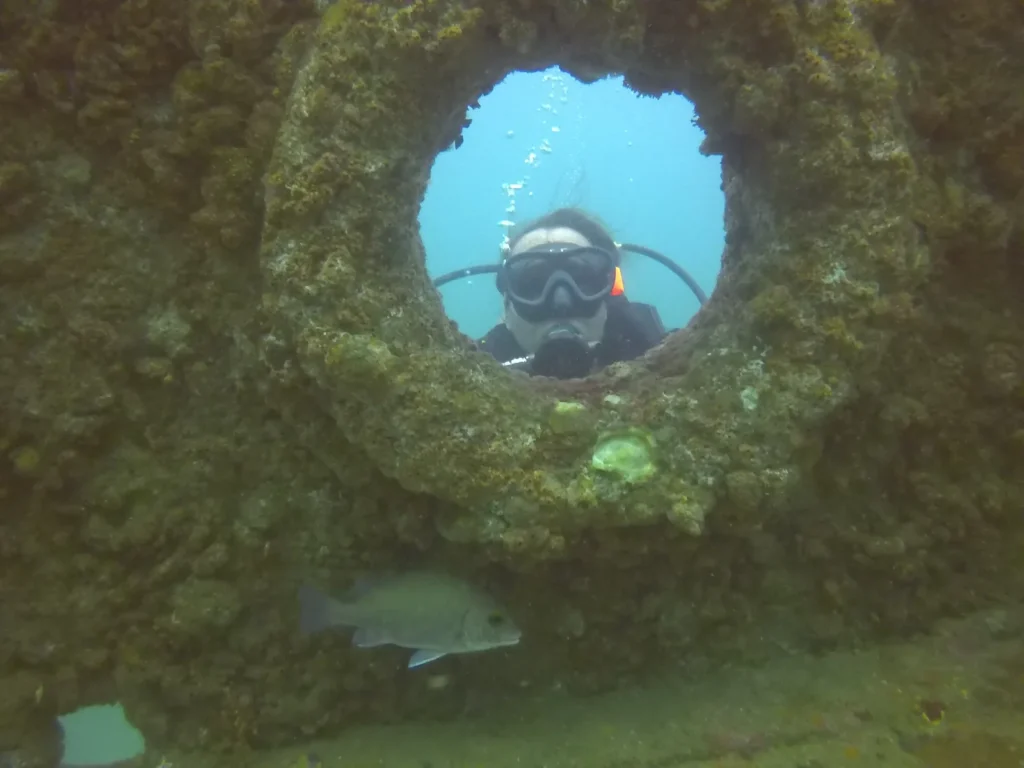 Diver framed through a coral-encrusted shipwreck opening with a fish swimming below