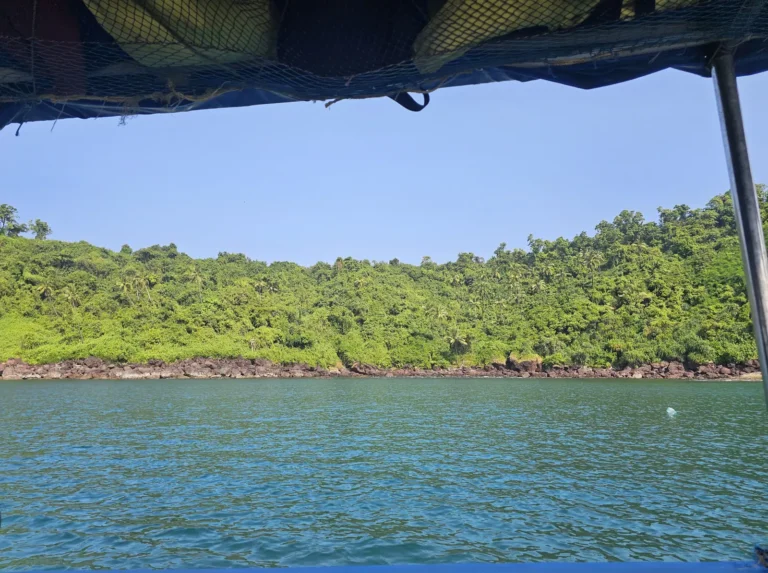 Forested island shoreline seen from under the boat canopy across calm blue water