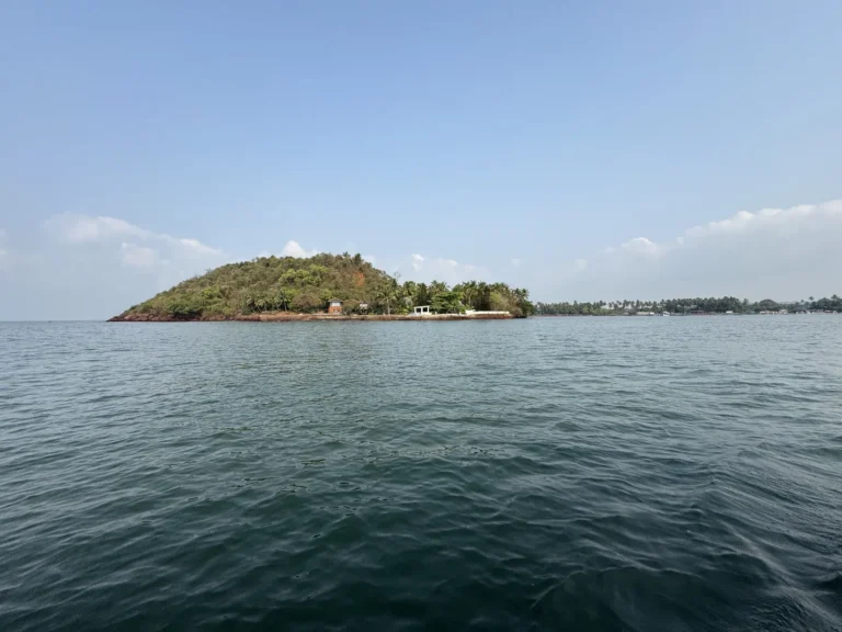 Small tree-covered island with a strip of beach sits low on calm, dark water