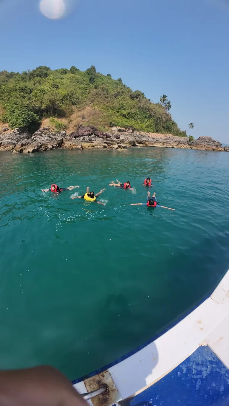 Group of snorkelers in life jackets float in green water near a rocky, tree-covered island
