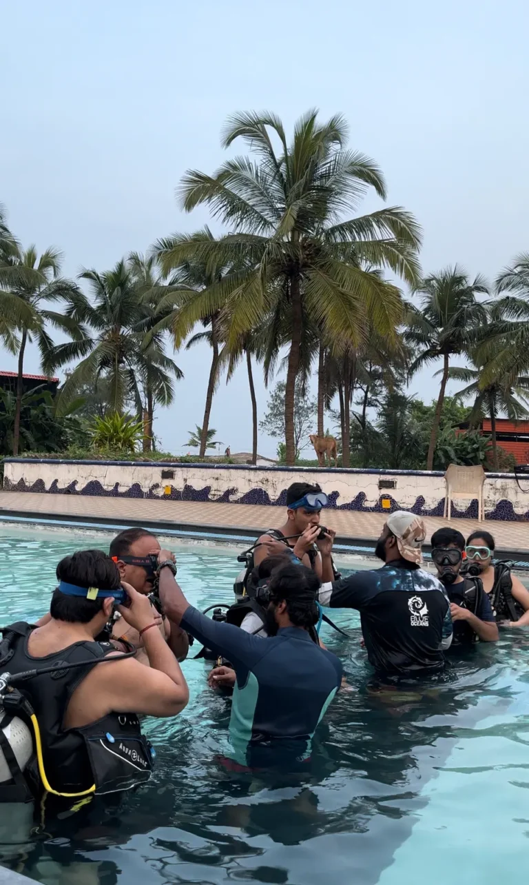 Group of students fit their masks while standing in the resort pool under tall coconut palms