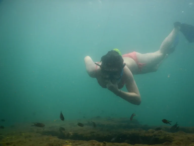 A woman in a mask and fins dives down from the surface toward a rocky seabed with small dark fish